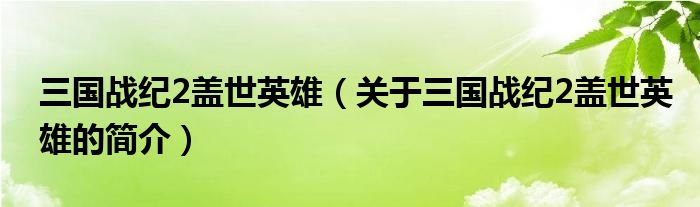 三國戰(zhàn)紀2蓋世英雄（關于三國戰(zhàn)紀2蓋世英雄的簡介）