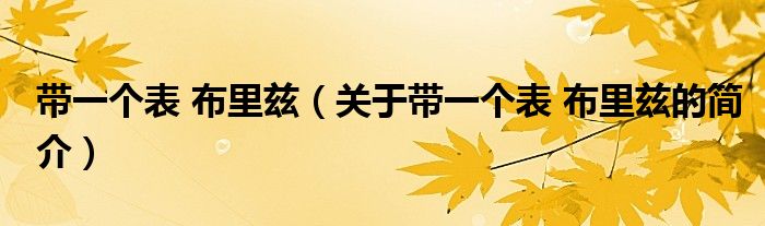 帶一個表 布里茲（關于帶一個表 布里茲的簡介）