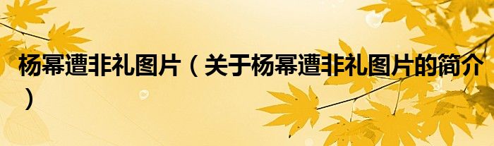 楊冪遭非禮圖片（關于楊冪遭非禮圖片的簡介）
