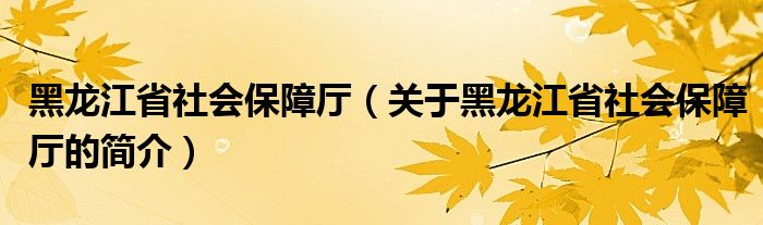 黑龍江省社會保障廳（關(guān)于黑龍江省社會保障廳的簡介）