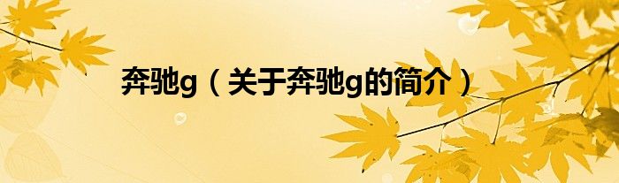 奔馳g（關于奔馳g的簡介）