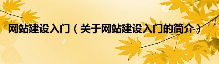 網(wǎng)站建設入門（關于網(wǎng)站建設入門的簡介）
