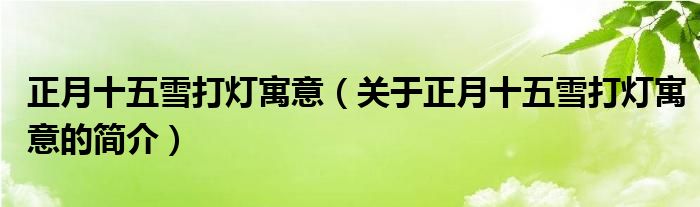 正月十五雪打燈寓意（關(guān)于正月十五雪打燈寓意的簡介）