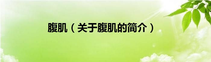 腹?。P(guān)于腹肌的簡(jiǎn)介）
