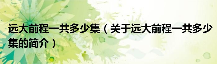 遠大前程一共多少集（關(guān)于遠大前程一共多少集的簡介）