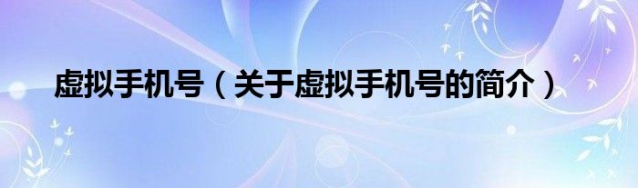 虛擬手機號（關(guān)于虛擬手機號的簡介）
