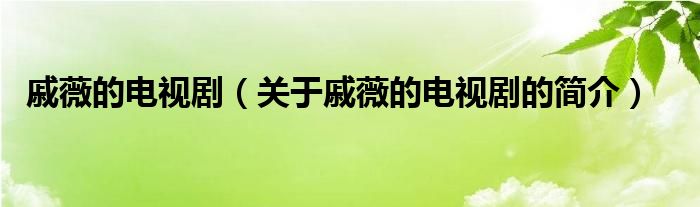 戚薇的電視劇（關(guān)于戚薇的電視劇的簡介）