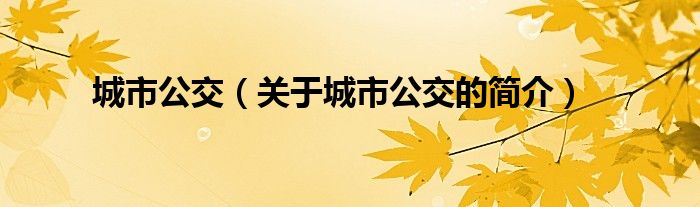 城市公交（關于城市公交的簡介）