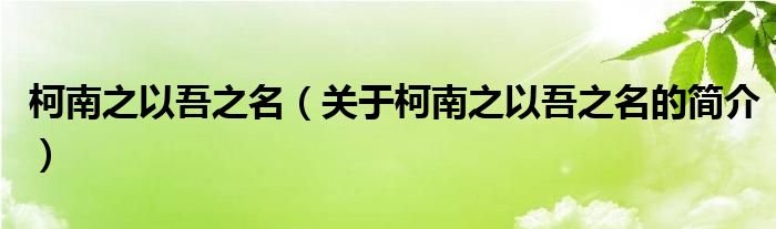 柯南之以吾之名（關(guān)于柯南之以吾之名的簡介）