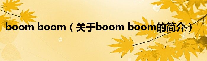 boom boom（關于boom boom的簡介）