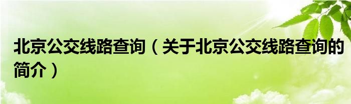 北京公交線路查詢(xún)（關(guān)于北京公交線路查詢(xún)的簡(jiǎn)介）