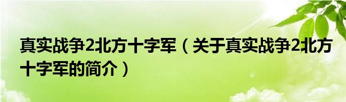 真實戰(zhàn)爭2北方十字軍（關(guān)于真實戰(zhàn)爭2北方十字軍的簡介）