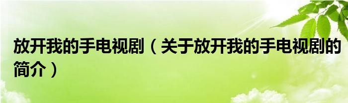 放開我的手電視劇（關于放開我的手電視劇的簡介）