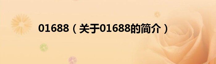 01688（關于01688的簡介）