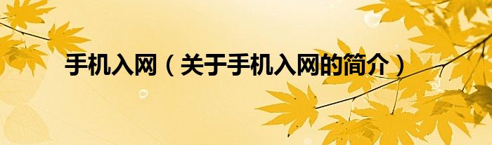 手機入網(wǎng)（關于手機入網(wǎng)的簡介）