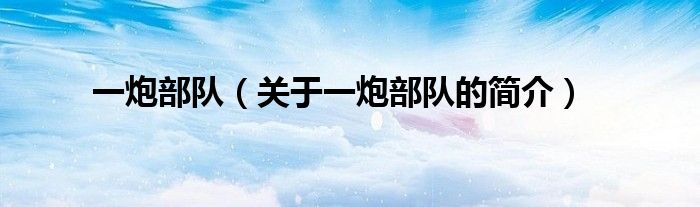 一炮部隊（關(guān)于一炮部隊的簡介）