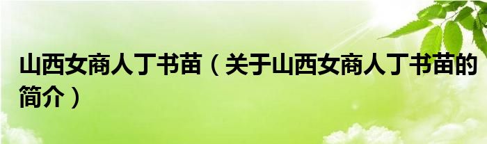 山西女商人丁書(shū)苗（關(guān)于山西女商人丁書(shū)苗的簡(jiǎn)介）
