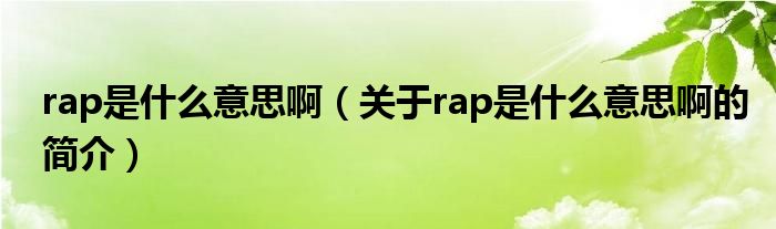 rap是什么意思啊（關于rap是什么意思啊的簡介）