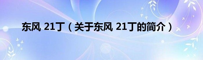 東風(fēng) 21?。P(guān)于東風(fēng) 21丁的簡介）