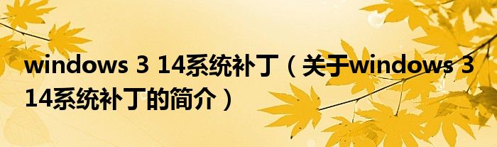 windows 3 14系統(tǒng)補?。P(guān)于windows 3 14系統(tǒng)補丁的簡介）