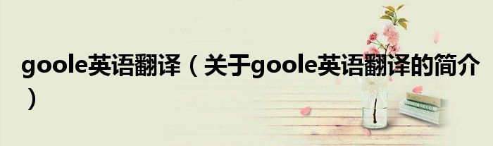 goole英語翻譯（關(guān)于goole英語翻譯的簡(jiǎn)介）