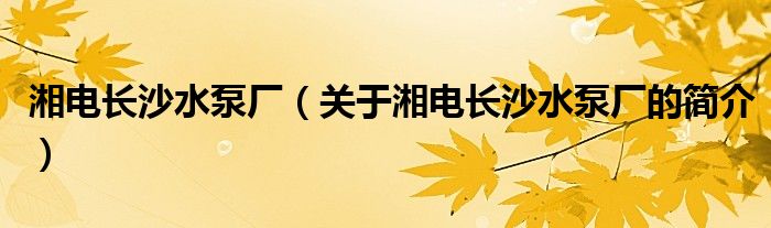 湘電長沙水泵廠（關于湘電長沙水泵廠的簡介）