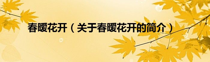 春曖花開（關(guān)于春曖花開的簡(jiǎn)介）