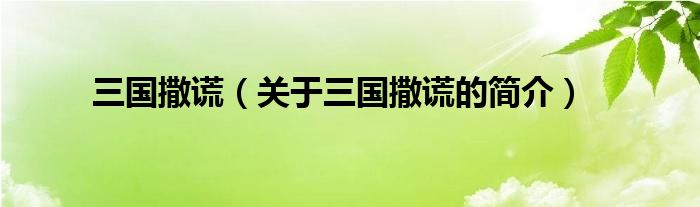 三國撒謊（關(guān)于三國撒謊的簡(jiǎn)介）