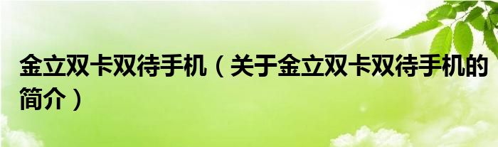 金立雙卡雙待手機（關于金立雙卡雙待手機的簡介）