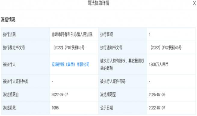 娛樂圈老公接連出事，董卿老公被強(qiáng)制執(zhí)行4億？