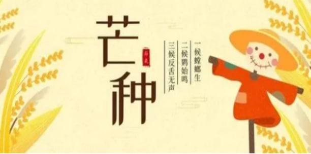 關(guān)于芒種節(jié)氣的養(yǎng)生不能忽視那些疾??？