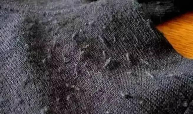 清除衣服上毛屑的簡單方法有哪些？
