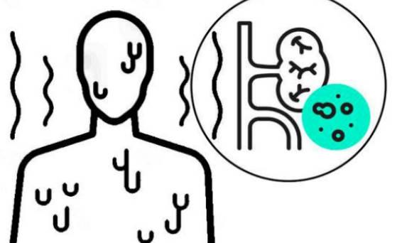 腎病患者日常該怎樣保??？