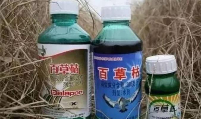 喝了百草枯，真的沒(méi)救了嗎？