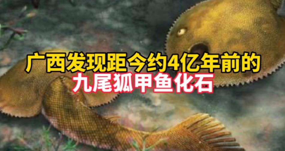 發(fā)現(xiàn)新屬種九尾狐甲魚，揭開盔甲魚類尾鰭的神秘面紗