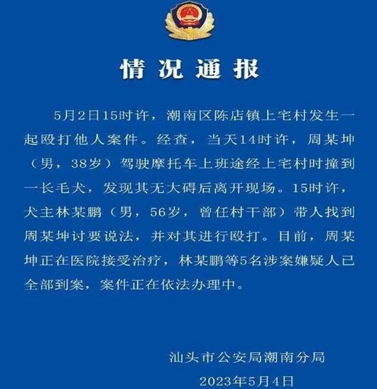 汕頭一村民因撞到狗被打，狗主人曾任村干部，5名涉案嫌疑人已被抓