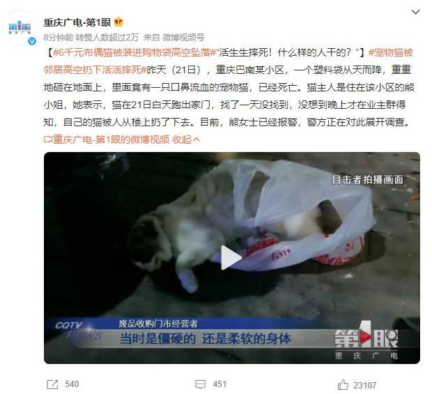 重慶巴南寵物貓高空墜落案引發(fā)公憤，貓主人報警調(diào)查展開