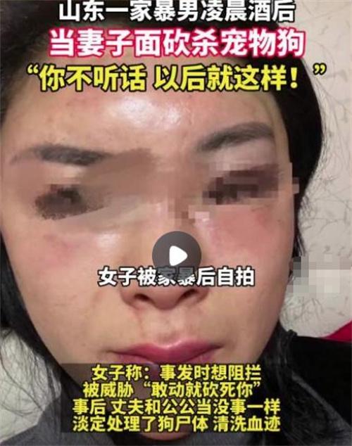 山東菏澤女性網(wǎng)友曝光家暴事件，丈夫當(dāng)眾砍死寵物犬！調(diào)查啟動，追求公正懲罰！
