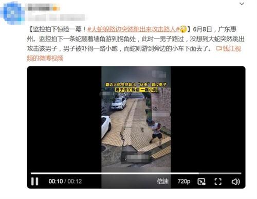 廣東惠州驚險一幕！蛇突然攻擊路過男子后鉆入小車下方