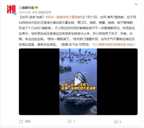 臺(tái)風(fēng)“泰利”帶來(lái)豐盛海鮮，深圳玉海灣沙灘成“海鮮灘”