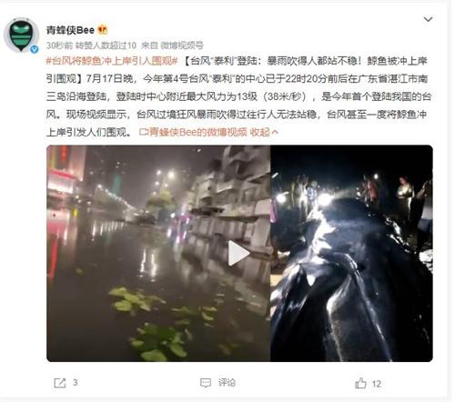 臺(tái)風(fēng)“泰利”登陸：狂風(fēng)暴雨引發(fā)鯨魚(yú)上岸圍觀