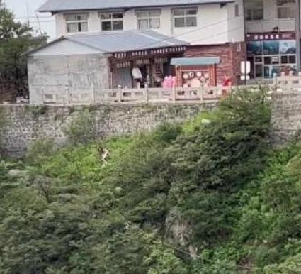 情侶吵架女方跳崖？景區(qū)回應(yīng)：女子擦傷，幸虧男朋友及時(shí)救上來