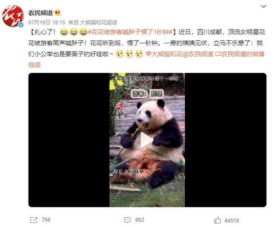 頂流女明星花花被游客喊胖子愣了1秒鐘，網(wǎng)友：扎心了！