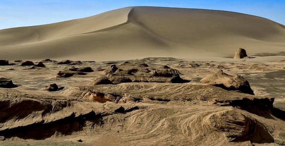 羅布泊野駱駝保護區(qū)禁私自進入，外地游客嚴防危險
