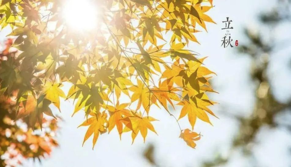 立秋不代表酷熱終結(jié)！全國盼秋涼地圖看哪里暑熱將消