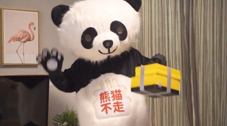 熊貓不走蛋糕突然全國(guó)停工！員工揭露：老板失聯(lián)